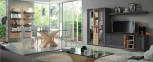 Muebles de Salón